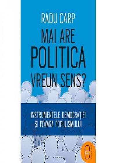 Mai are politica vreun sens (ebook)