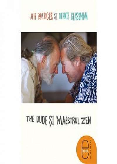 The Dude si maestrul zen (ebook)