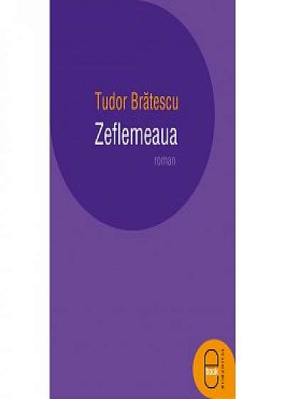 Zeflemeaua (ebook)