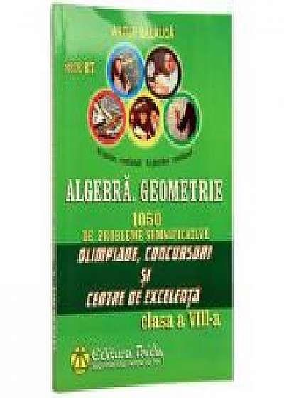 Algebra. Geometrie. 1050 de problemepentru Olimpiade si centre de excelenta - Clasa a VIII-a