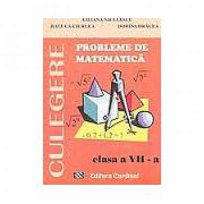 CULEGERE. Probleme de matematica, clasa VII-a (Liliana Niculescu)