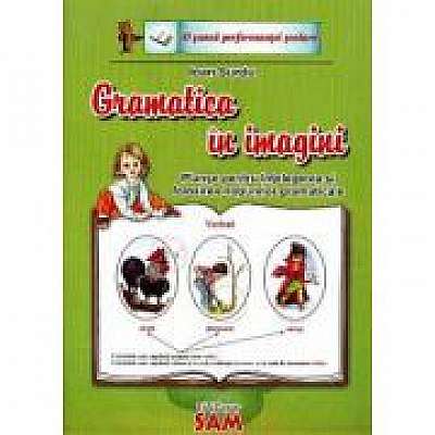 Gramatica in imagini - Planse pentru intelegerea si folosirea notiunilor gramaticale