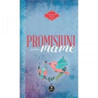 Coperta cărții Promisiuni pentru mame