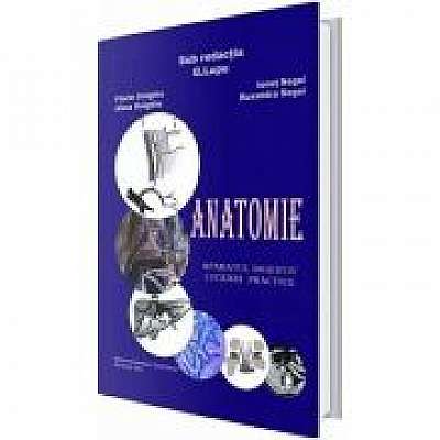 Anatomie. Aparatul digestiv, lucrari practice
