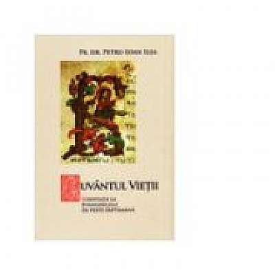 Coperta cărții Cuvantul vietii. Meditatii la Evangheliile de peste saptamana de Pr. Dr. Petru Ioan Ilea