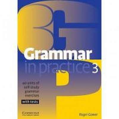 Grammar in Practice 3