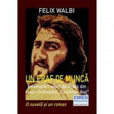 Coperta cărții Un praf de munca. Intamplari vesel de triste din viata slujbasilor Epocii de Aur de Felix Walbi