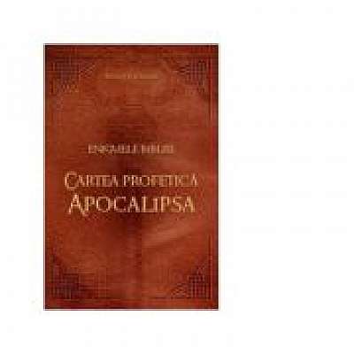 Coperta cărții Enigmele Bibliei. Cartea profetica Apocalipsa