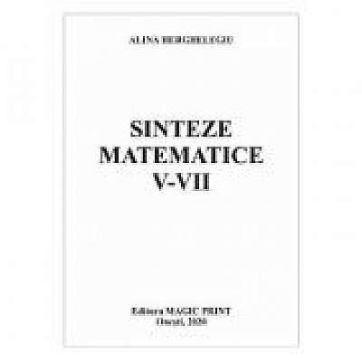 Sinteze matematice V-VII