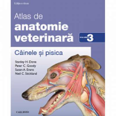 Atlas de anatomie veterinara. Cainele si pisica. Vol. 3, Peter C. Goody, Susan A. Evans, Neil C. Stickland
