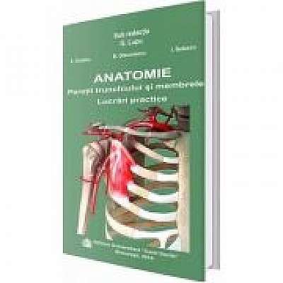 Anatomie. Peretii trunchiului si membrele. Lucrari practice