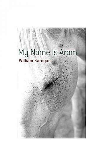 My Name Is Aram