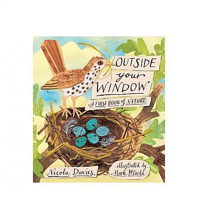 Outside Your Window: A First Book of Nature