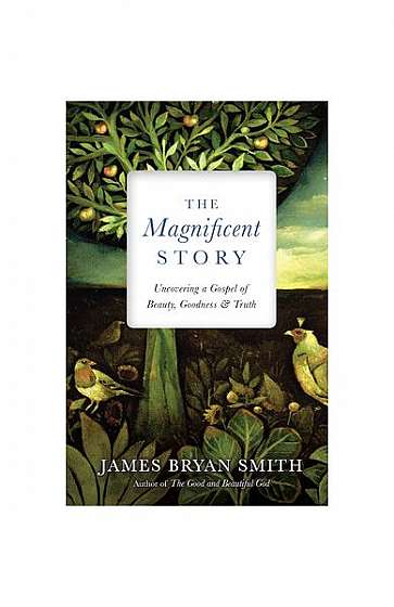 The Magnificent Story: Uncovering a Gospel of Beauty, Goodness, and Truth