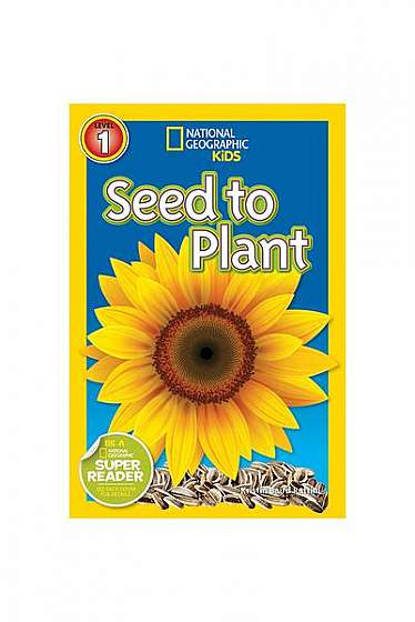 Seed to Plant