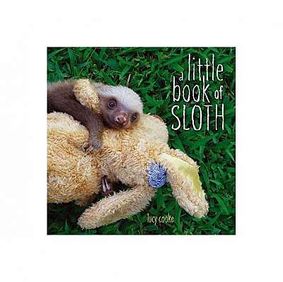 A Little Book of Sloth