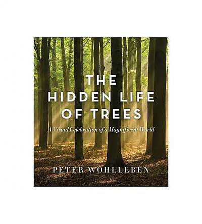 The Hidden Life of Trees: A Visual Celebration of a Magnificent World