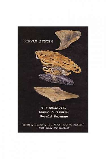 Stream System: The Collected Short Fiction of Gerald Murnane