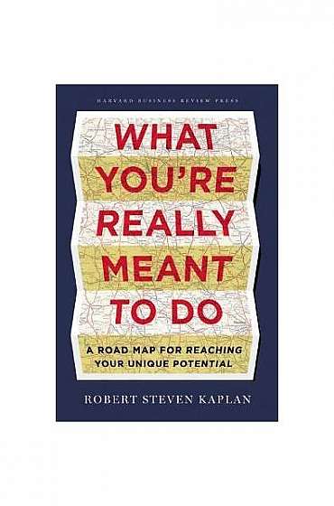 Reaching Your Potential: A Roadmap for Defining and Achieving Your Own Success