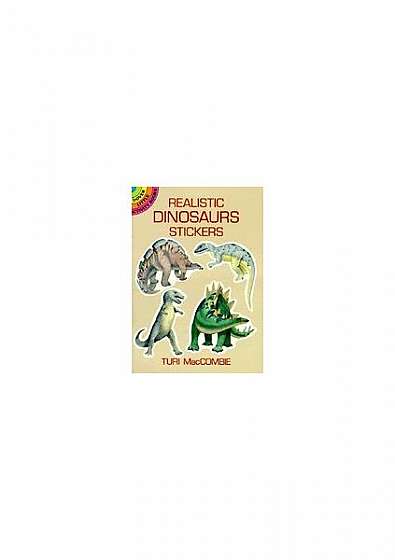 Coperta cărții Realistic Dinosaurs Stickers