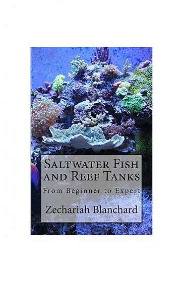 Saltwater Fish and Reef Tanks: From Beginner to Expert