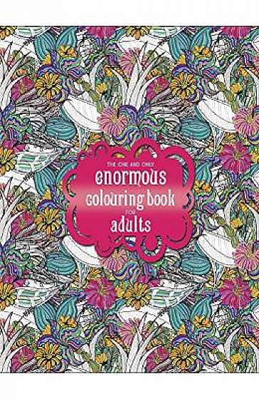 The One and Only Enormous Colouring Book for Adults