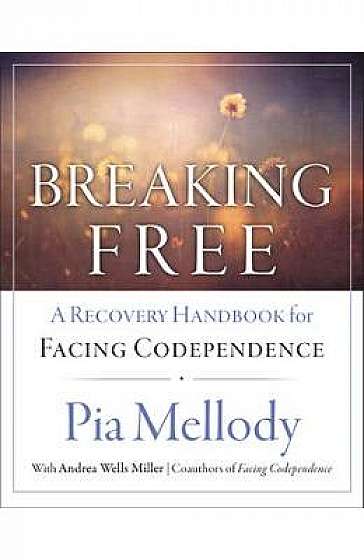 Breaking Free: A Recovery Workbook For Facing Codependence