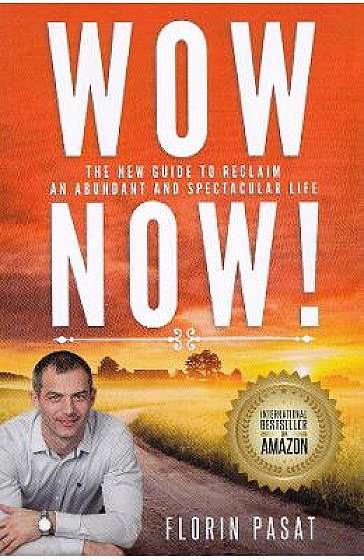 WOW Now! The New Guide to Reclaim an Abundant and Spectacular Life