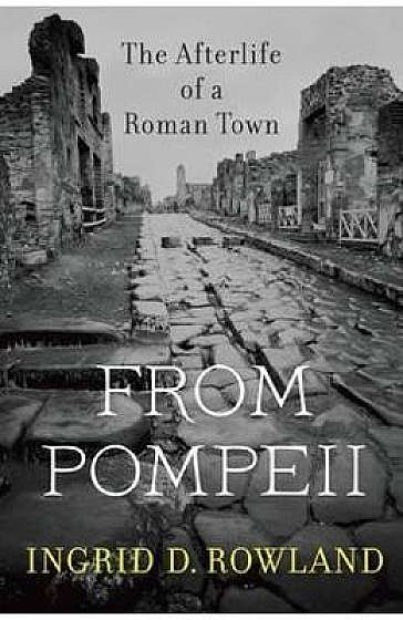 From Pompeii: The Afterlife of a Roman Town