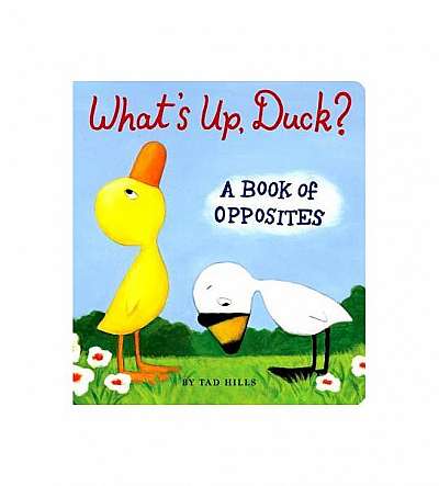 What's Up, Duck?: A Book of Opposites