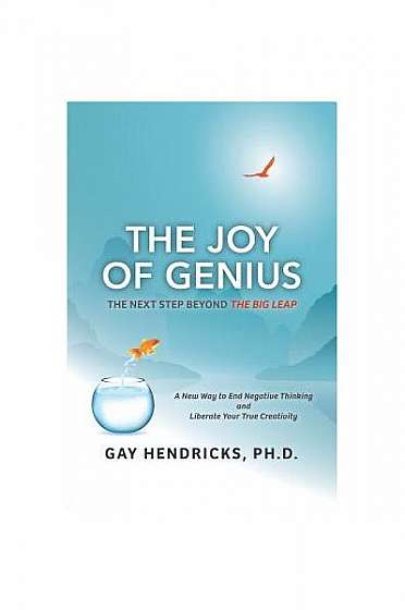 The Joy of Genius: The Next Step Beyond the Big Leap