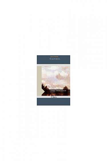 Coperta cărții The Cambridge Companion to Roman Law