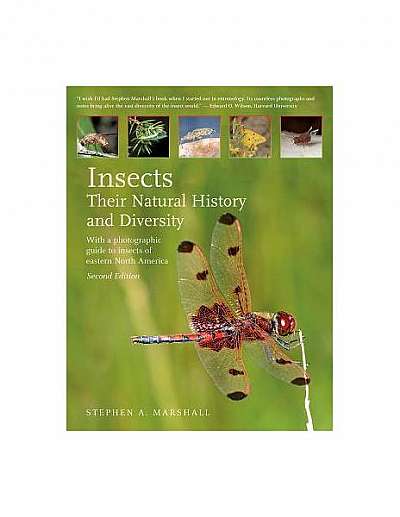 Insects: Their Natural History and Diversity: With a Photographic Guide to Insects of Eastern North America