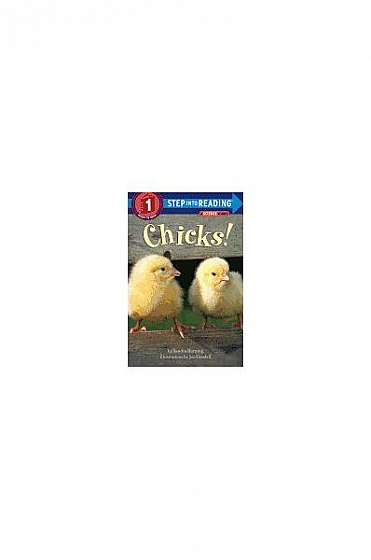 Coperta cărții Chicks!