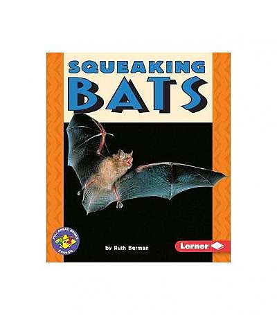 Squeaking Bats
