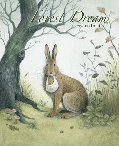 Coperta cărții Forest Dream