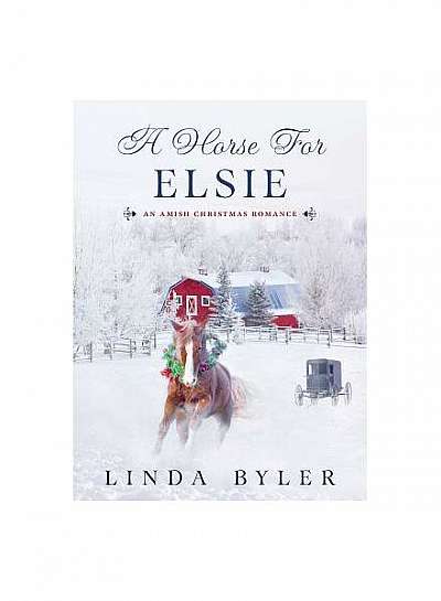 A Gift for Elsie: An Amish Christmas Romance