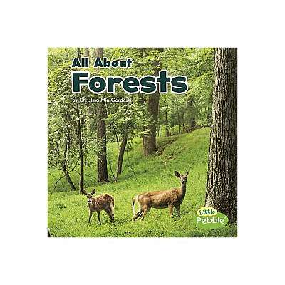 All about Forests