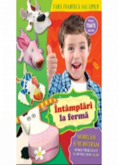 Coperta cărții Intamplari la ferma