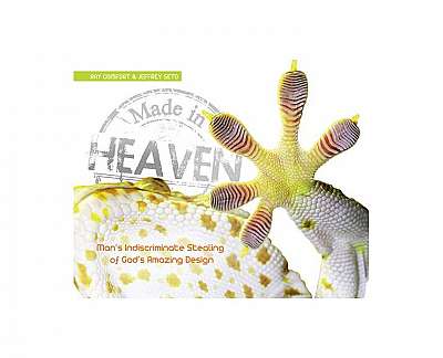 Made in Heaven: The Indiscriminate Stealing of God's Amazing Design