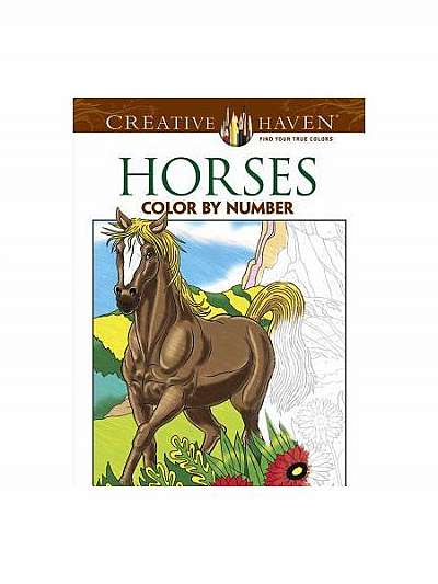 Horses Color by Number Coloring Book