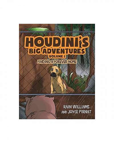 Houdini's Big Adventures: Finding a Forever Home