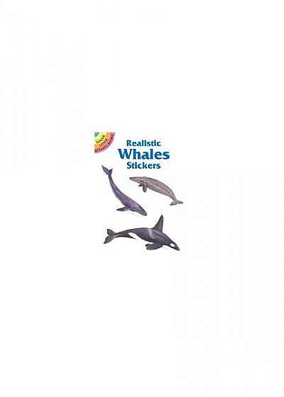 Coperta cărții Realistic Whales Stickers