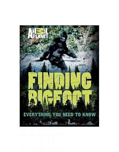 Finding Bigfoot: Everything You Need to Know