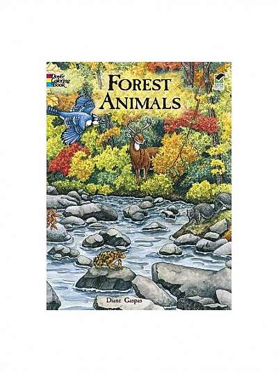 Forest Animals Coloring Book