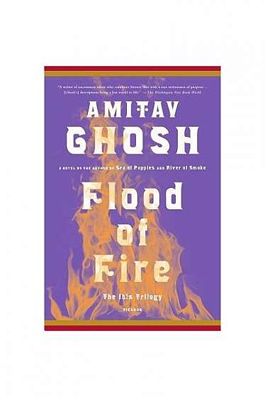 Coperta cărții Flood of Fire