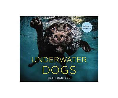 Underwater Dogs