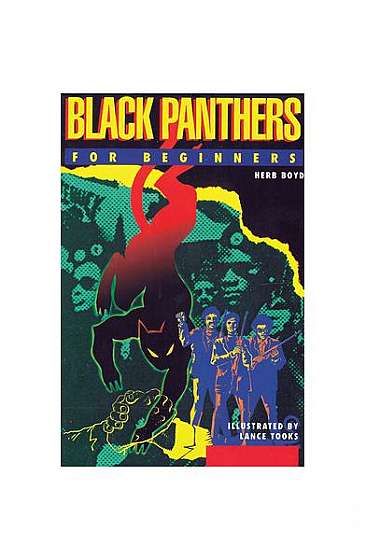 Black Panthers for Beginners