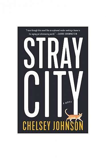 Stray City