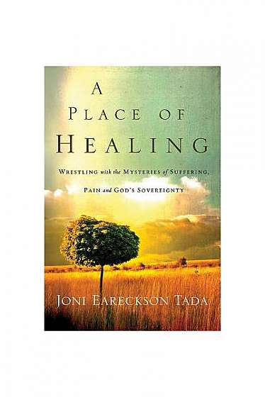 A Place of Healing: Wrestling with the Mysteries of Suffering, Pain, and God's Sovereignty